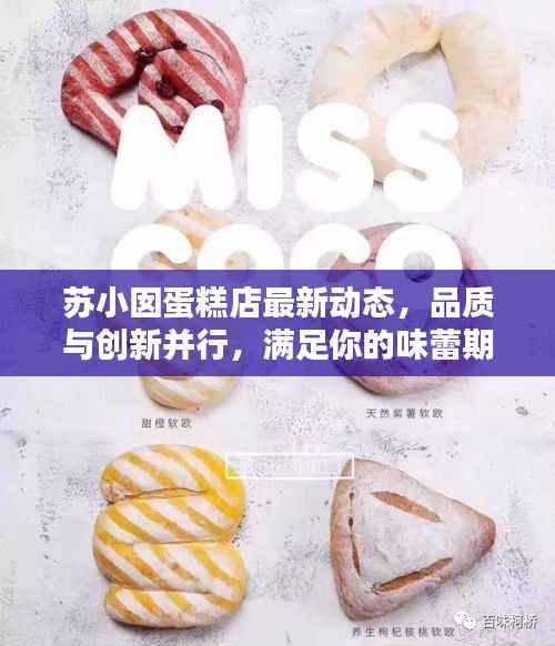 苏小囡蛋糕店最新动态,品质与创新并行,满足你的味蕾期待!