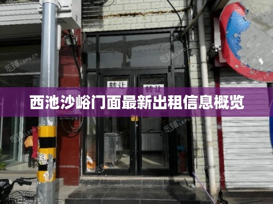 西池沙峪门面最新出租信息概览