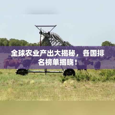 全球农业产出大揭秘,各国排名榜单揭晓!