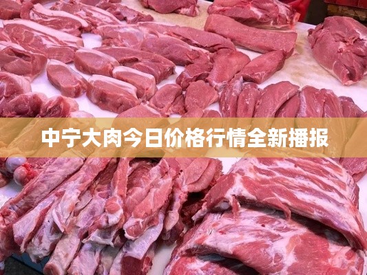 中宁大肉今日价格行情全新播报