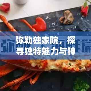 弥勒独家院,探寻独特魅力与神秘故事