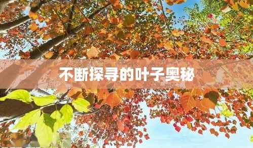 fanzhangjishu 第7页