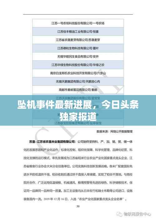 坠机事件最新进展,今日头条独家报道