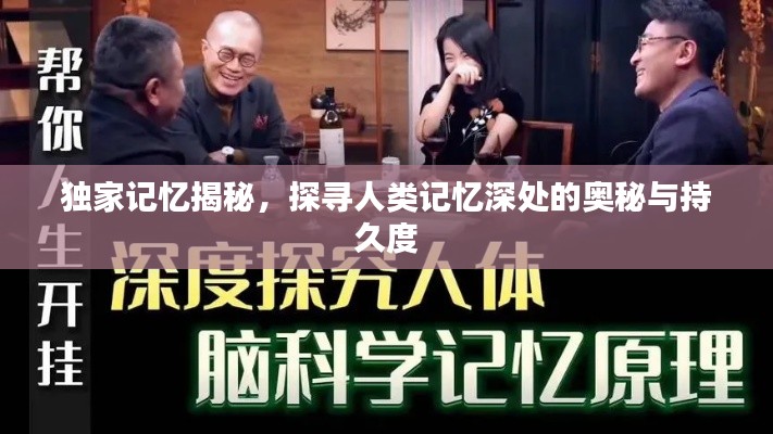 独家记忆揭秘，探寻人类记忆深处的奥秘与持久度