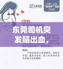东莞司机突发脑出血,生命的脆弱呼唤社会关怀与关注