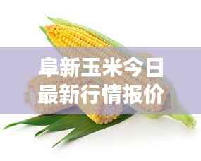 阜新玉米今日最新行情报价