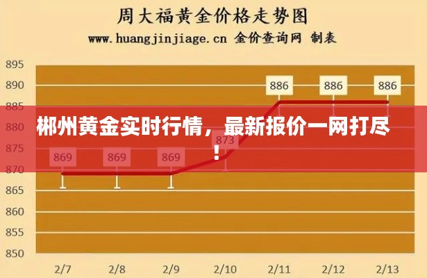 郴州黄金实时行情，最新报价一网打尽！