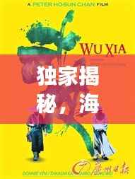 独家揭秘，海报视频背后的故事与创意魔力