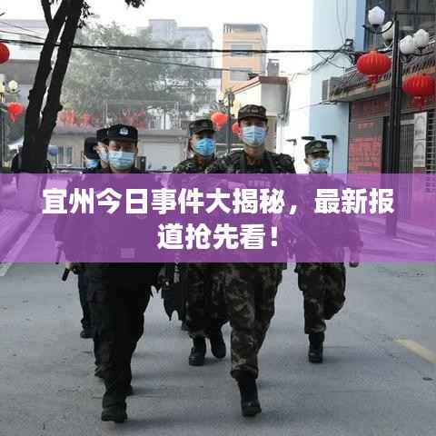 宜州今日事件大揭秘,最新报道抢先看!