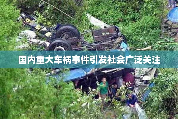 国内重大车祸事件引发社会广泛关注