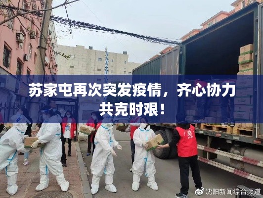 苏家屯再次突发疫情,齐心协力共克时艰!