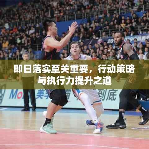 即日落实至关重要，行动策略与执行力提升之道