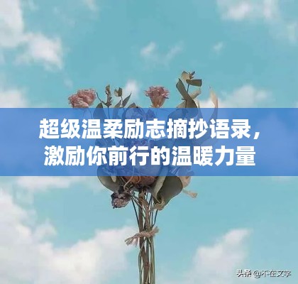 超级温柔励志摘抄语录，激励你前行的温暖力量