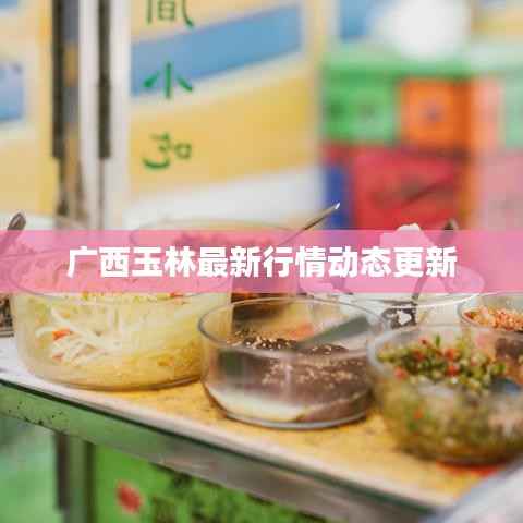 广西玉林最新行情动态更新