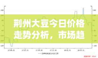 荆州大豆今日价格走势分析,市场趋势与未来展望
