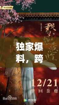 独家爆料，跨越时空的深情故事——夫人侍女传奇（免费阅读）