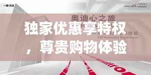 独家优惠享特权，尊贵购物体验之旅