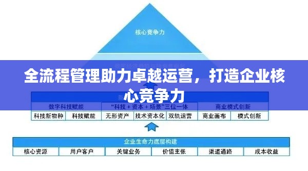 全流程管理助力卓越运营,打造企业核心竞争力