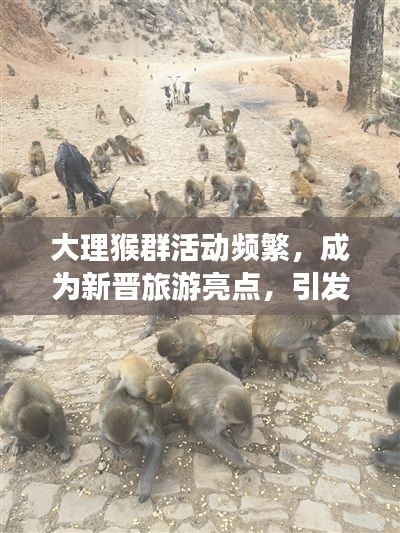 大理猴群活动频繁,成为新晋旅游亮点,引发关注热议!