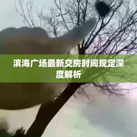 滨海广场最新交房时间规定深度解析