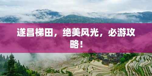 遂昌梯田,绝美风光,必游攻略!