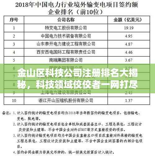 金山区科技公司注册排名大揭秘，科技领域佼佼者一网打尽！