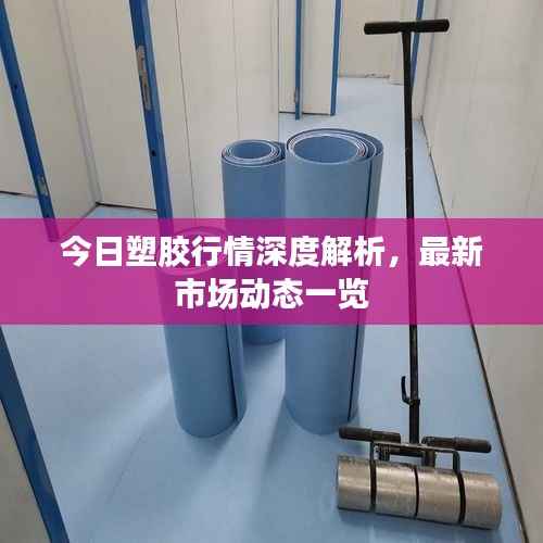 今日塑胶行情深度解析,最新市场动态一览